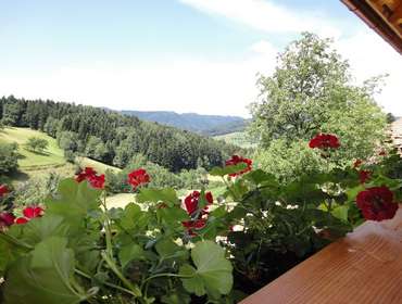 Balkonblick Urlaub im Herrenholz - Familie Schwarz Zell am Harmersbach - Unterharmersbach