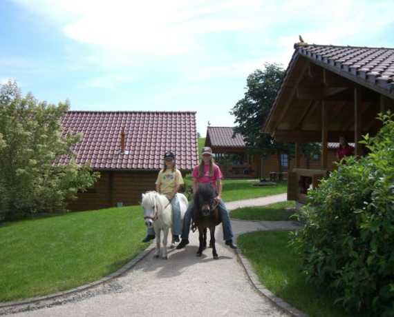 Shettis und Reiter auf dem Ferienhof Pfeiffer im Odenwald Buchen - Bödigheim