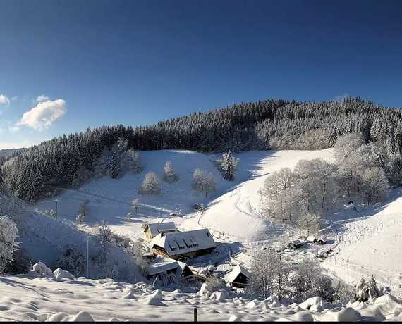 winter Wolfach