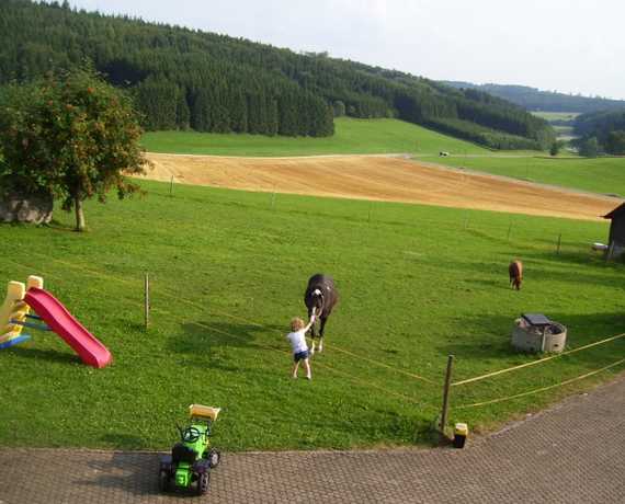 Spiel- und Liegewiese mit Pony - Ferienhof Walter Westerheim
