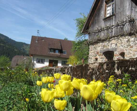Frühling auf dem Schingerhof Simonswald