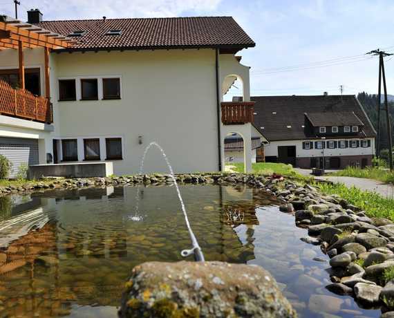 Unser Teich Baiersbronn - Schwarzenberg