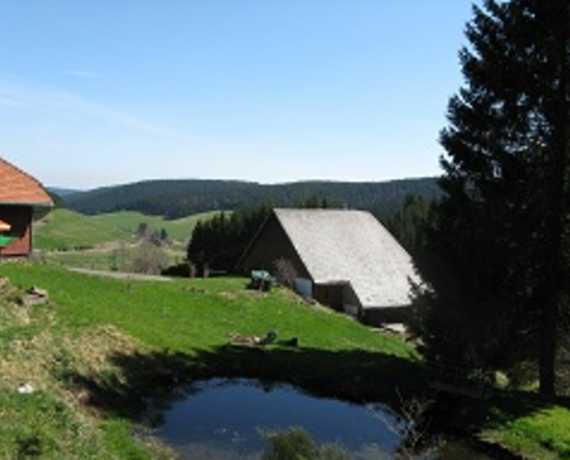 Teich Furtwangen - Linach