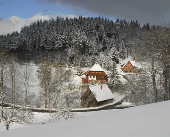 Winterbild Wolfach