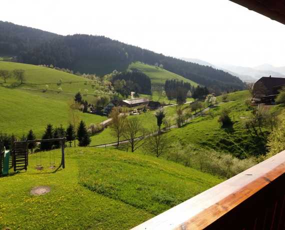 Blick in Tal vom unserem Ferienhaus Zell am Harmersbach