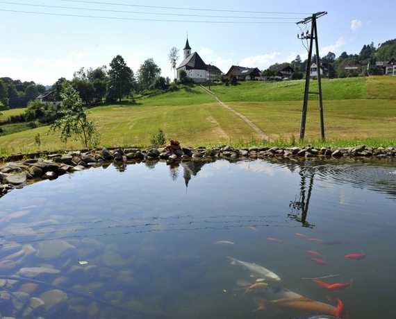Unser Teich Baiersbronn - Schwarzenberg