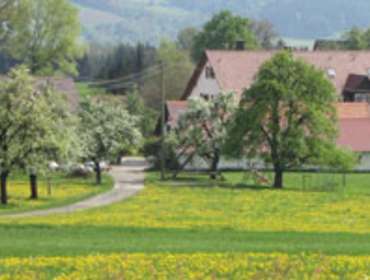 Der Franzenhof im Frühling Franzenhof Markhart Deggenhausertal - Azenweiler