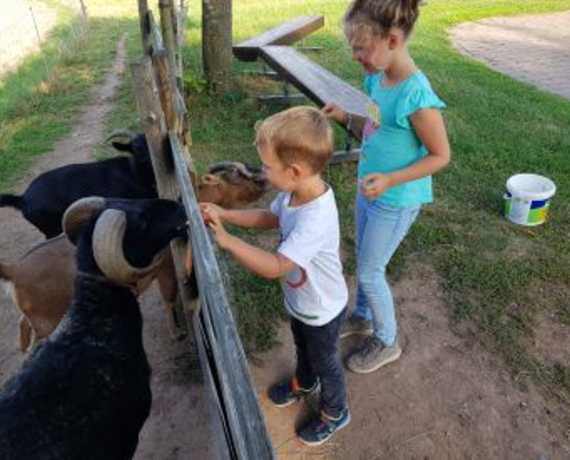 Kinder beim Tiere füttern Preunschen - Kirchzell
