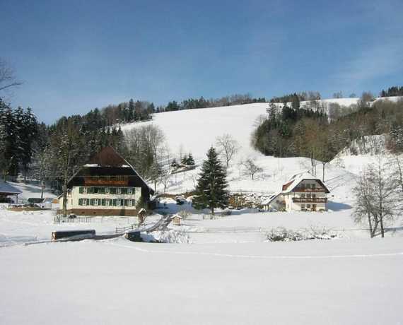 Winter Buchenbach - Unteribental