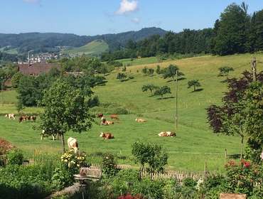 Blick über den Bauerngarten ins Tal Sesterhof Gengenbach
